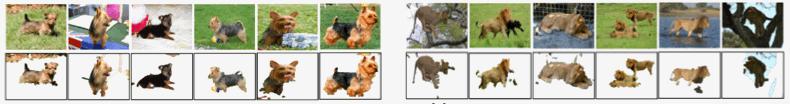 result imagenet